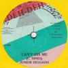 7-дюймовая пластинка JUNIOR DELGADO - Can't Dis Me none Deh-Deh 1989 Великобритания Регги, Ска и Даб