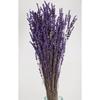 Shocked Spill Resistant Real Lavender Bunch Purple (100 г)