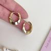 925 Silver Needle Plain Ring Earrings Women's Exquisite Niche Cold Fashion Earrings Light Luxury Premium Summer Earrings New