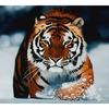5D DIY Full Round Diamond Painting Tiger In the Snow Embroidery Cross Stitch