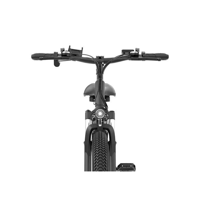 Vélo électrique - RIDSTAR - S29 Pro - Moteur 1000W - Batterie 48V 20Ah - Autonomie 70KM