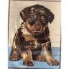 Canvas Kit - Penelope - Beauceron - 14 X 18 Cm - Printed Canvas - Needle and Thread Included