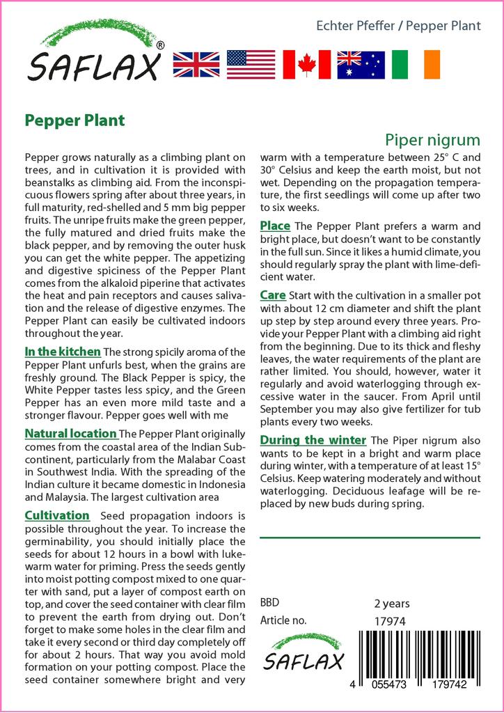 SAFLAX Garden in the Bag - Растение перца - 20 семян - С субстратом в подходящем пакете - Piper nigrum