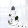 Gifts Hydroponics Hanging Glass Vase Garden Supplies Home Decoration Terrarium Container Portable Flower Plant Pots