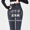 Breasted Shark Pants Women's Outer Wear Autumn and Winter Velvet Thickened New Bottoming Warm Tight Bodybuilding Yoga Pants