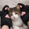 Furry Cosplay Costume Gloves Cartoon Puppy Claw Mittens Cute Plush Cat Paw Gloves  Gifts