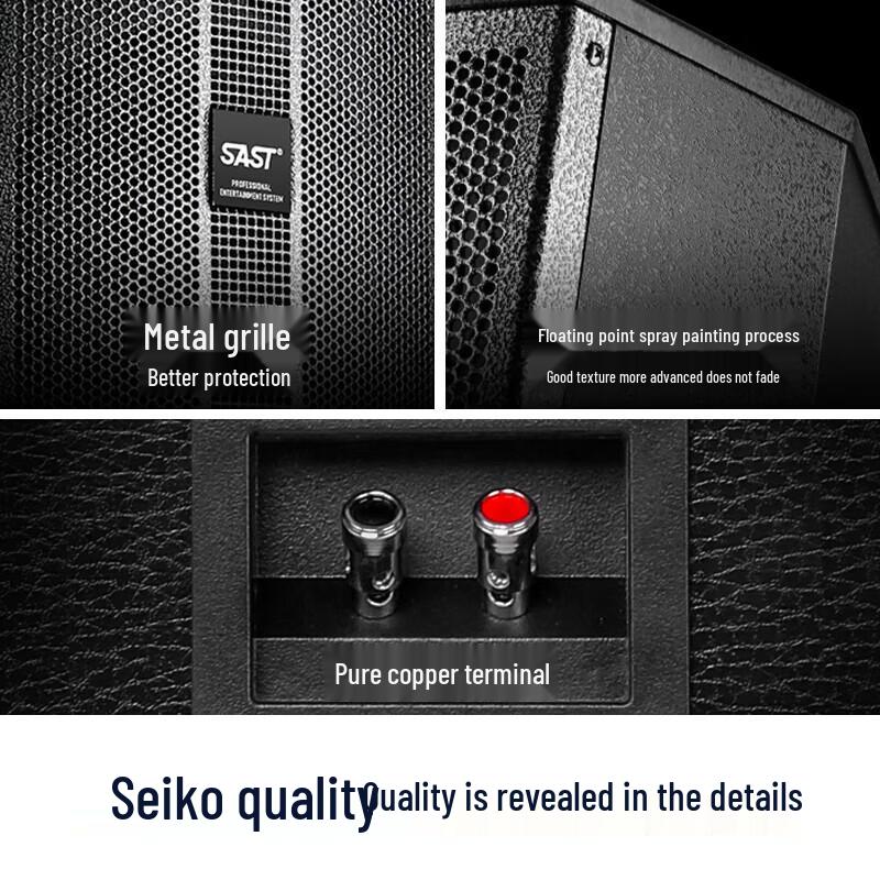 SAST Professional Wireless Microphone and Amplifier Sound System (CN version)