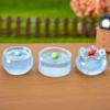 1 Set Multicolors Fish Tank Miniatures Resin Fish Ornaments Fairy Garden Decoration Moss Terrarium Micro Landscape