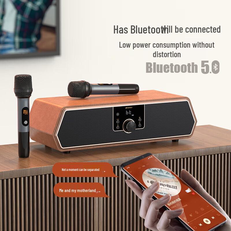 SANSUI N16 Flagship Retro All-in-One KTV Bluetooth Speaker