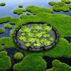 Pond Plant Protector Floating Island Fish Barrier Fine Mesh Round Netting Protects Plants from Aquatic Animals for Pond Plants