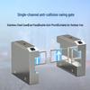 Realand Facial Recognition Swing Barrier Gate Access System CN plug (adapter included)