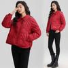 Real Winter New Product Small Cotton-padded Clothes Lapel Temperament Light and Thin Short Thin Down Cotton-padded Clothes