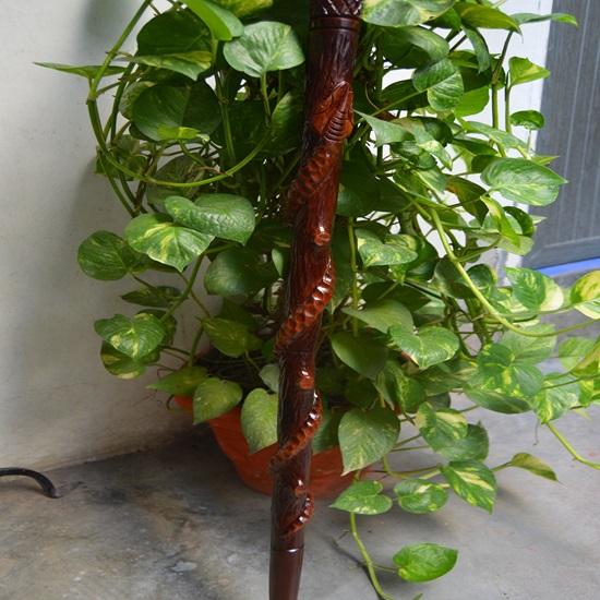 94 Cm Wooden Carved Eagle Head, Snake Climbing On A Tree Shaped Cane Handmade Wood Crafted Comfortable Handle Hand Carved Cane for Man Woman