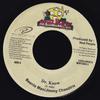 7-дюймовая пластинка BEENIE MAN / JIMMY CHEEZTRIX - Dr. Знайте MHPD28023 Mad House 2003 Ямайка Регги, Ска и Даб Б/У