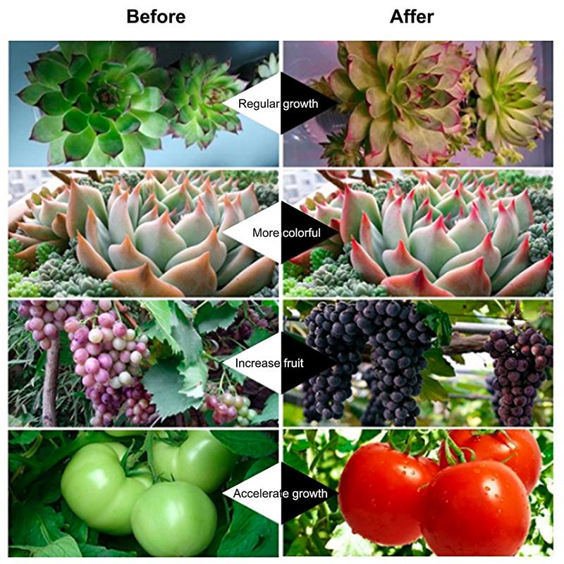 Хорошее освещение, светодиодная лампа для растений, полный спектр, гибкая тепличная гидропонная фитолампа, светильник для выращивания цветов, рассады, USB