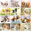 5d Diamond Painting Dog DIY Mosaic Animal Full Round Square Diamond Embroidery Cross Stitch Rhinestones Pictures Wall Art
