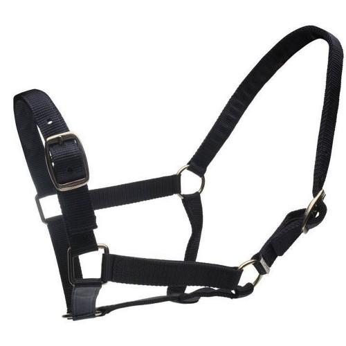 Roma Horse Headcollar And Leadrope