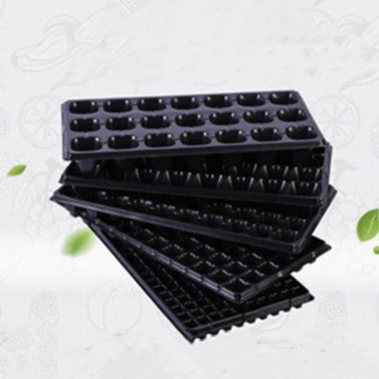 5Pcs Succulent Tray Breathable Long Lasting Portable Plants Germination Tray for Succulent