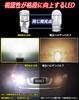 WENLE Stealth Bulb Backup Lamp T20 LED Single White 6000K 3200LM 20W High Brightness CSP Element DC12V Compatible Non-Polarity 2-Pack