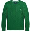 Polo SS24 однотонный свитер с вышитым маленьким пони, вязка косами, круглый вырез, длинный рукав, детский свитер, зеленый цвет CWPOSWEY6820517-300