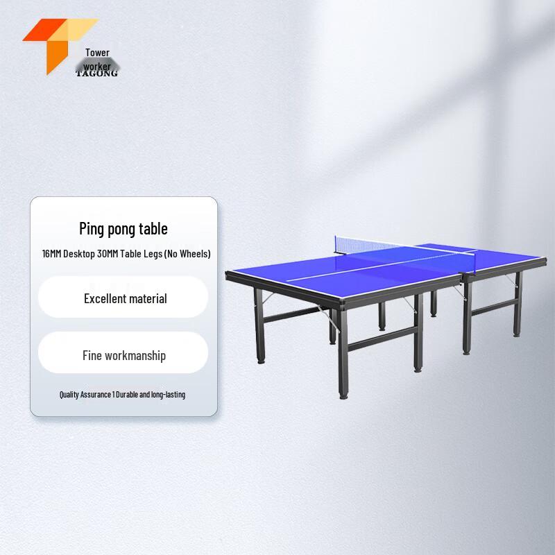 Tagong Standard Foldable Indoor Table Tennis Table