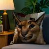 Floppa Cat Meme Pillow Case Plush Fabric Soft Double Sided Print Sofa Cushion Cover Throw Pillow Covers