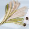 Fake Reed Grass Long-lasting Fade-resistant Realistic Artificial Pampas Grass for Home Wedding Decoration