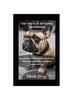 Книга The French Bulldog Handbook : Everything You Need To Know About French Bulldog (Raising, Caring, Feeding And Companionship)