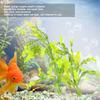 Пластиковые Аквариумные Имитация Водорослей Искусственные Водные Растения Аквариумы Ландшафтное Украшение с Белым Основанием7945 Ламинария