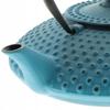 Cast Iron Kettle 1.25 L Infuser Strainer For Tea And Herbs