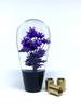 Shift Knob, Underwater Flowers, 3.9 Inches (100 Mm), Japanese and Showa Retro Emo Adapter, Crystal, Solid Color, Flower, Cat (Purple)