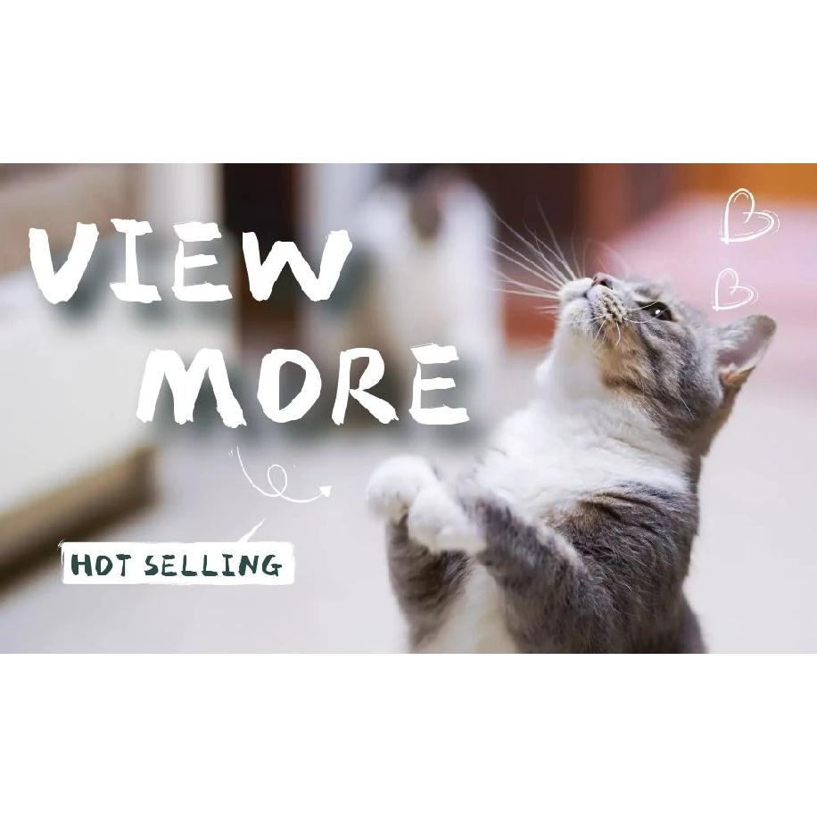 Cat Clothes Winter Warm Cotton Sphynx Cat Hoodies Fleece Sweatshirt Vest For Cats Sphinx Kitten Pajamas Clothes Cat Supplies