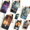 Парусная яхта Закат Для Realme 12 Pro Plus 9 10 11 GT5 C51 C31 C67 C55 C53 C35 C33 C30 C21Y C25s GT Neo 6 Чехол