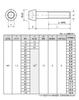 EGWORKS ULTRA-Ti™ Высокопрочный титановый конический болт 64 Титана M6x35мм Серебристый