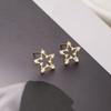 Banyan Tree S925 Silver Hollow Diamond Star Earrings - Korean Style Five-pointed Star Design for Women
