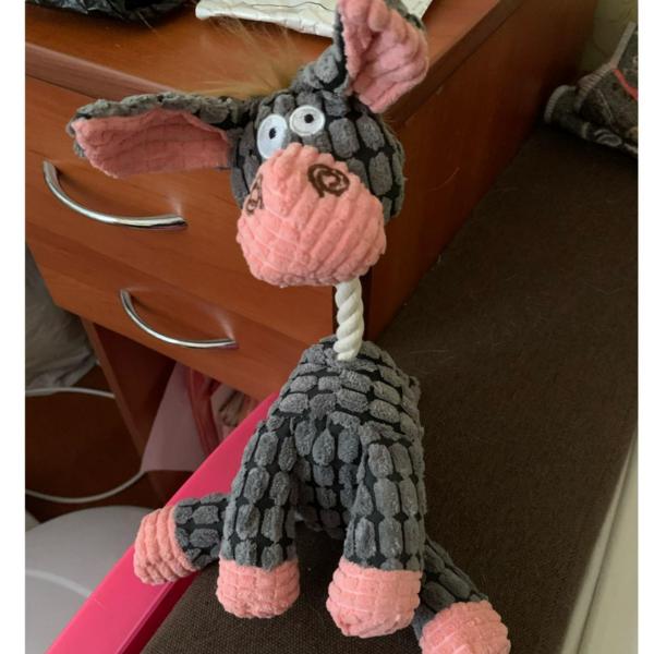 [Orange Blanc] Golden Squeaky Tug Dog Toy – Caution! Your Dog May Love It, Gray Donkey