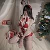 Сексуальное Белье Секс Зайчик Новый Костюм Открытый Соблазн Свободный Цельный Костюм Женщина