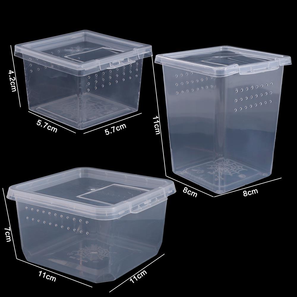 Для муравьев-скорпионов, аксессуары для рептилий, пластиковый инкубатор, террариум для ящериц, бокс для кормления насекомых, среда обитания рептилий