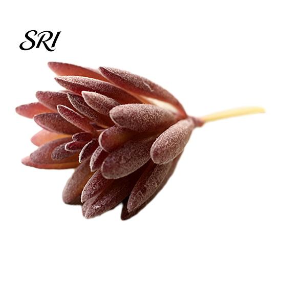 Micro Landscape Ornaments Ornament Simulation No Watering Realistic Tabletop Plant Flocking Texture Indoor Decorative Plants for Home Artificial