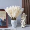 10 шт. Искусственная пампасная трава Свадебное украшение для дома Тростник Имитация Сделай сам Шелковистые Пушистые Искусственные цветы Пампасная трава Искусственное растение