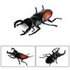 Realistic Beetle Action Figures Wild Insect Lifelike Insect Figurines  Desktop Ornament
