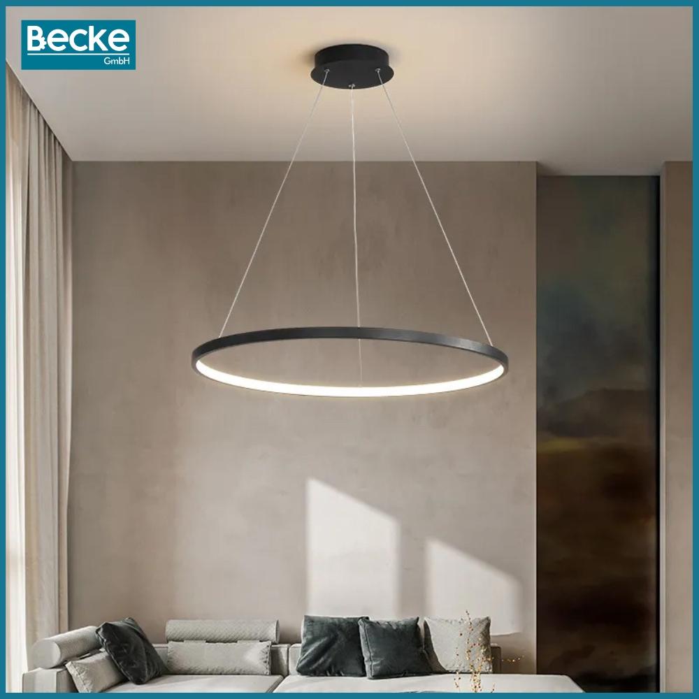 Ring LED ceiling lamp, matt black, 25W, modern, industrial, hanging, long, Neutral