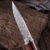 Kitchen Knife Damascus Pattern Imitate Chef Meat Cleaver Fruit Paring Knife