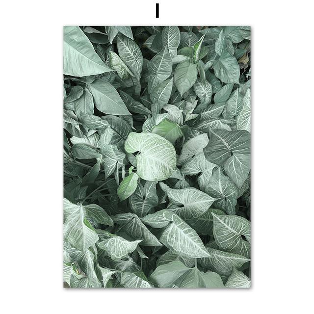 Зеленые тропические растения сочные монстера настенная живопись на холсте плакаты на скандинавскую тему и принты настенные панно для декора гостиной