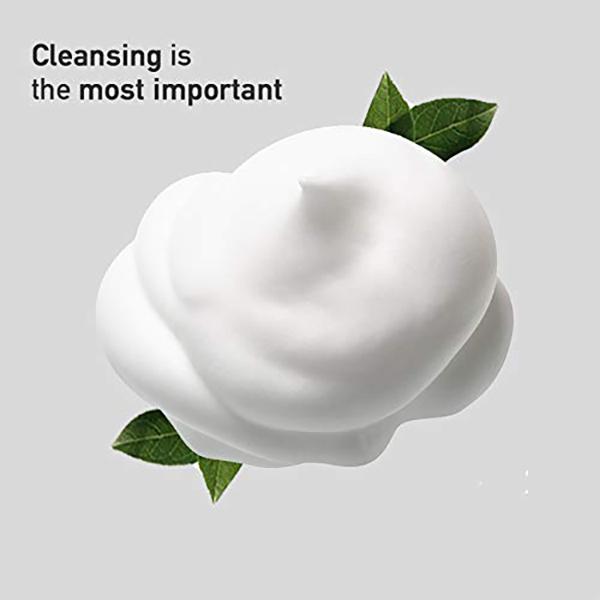 ROUND AROUND Green Tea Pure Cleansing Foam (250ml, 8.45 Fl.oz)