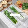 Transparent Plastic Refrigerator Storage Box for Fresh Herbs, Scallions, Noodles, and Eggs