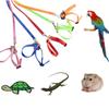 Parrot Harness Leash Adjustable Bird Harness Leash Set Outdoor Flying Anti-bite Training Rope For Bird Parrot Hamster Lizard