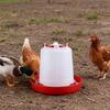 4/6Pcs 1.5L Chick Feeder Waterer Baby Chicken Duckling Quails Small Birds Pigeon Poultry Drinker