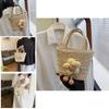 Trendy Mini Woven Tote Bag For Women Stylish Beach Vacation Accessory 2024
