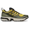 SALOMON ACS + OG Масло Оливковое Ночь 471346